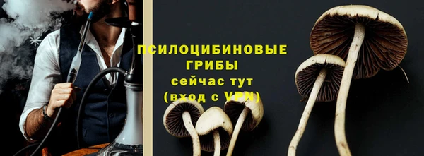 дурь Аркадак