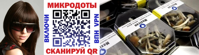 Галлюциногенные грибы прущие грибы  Суоярви 